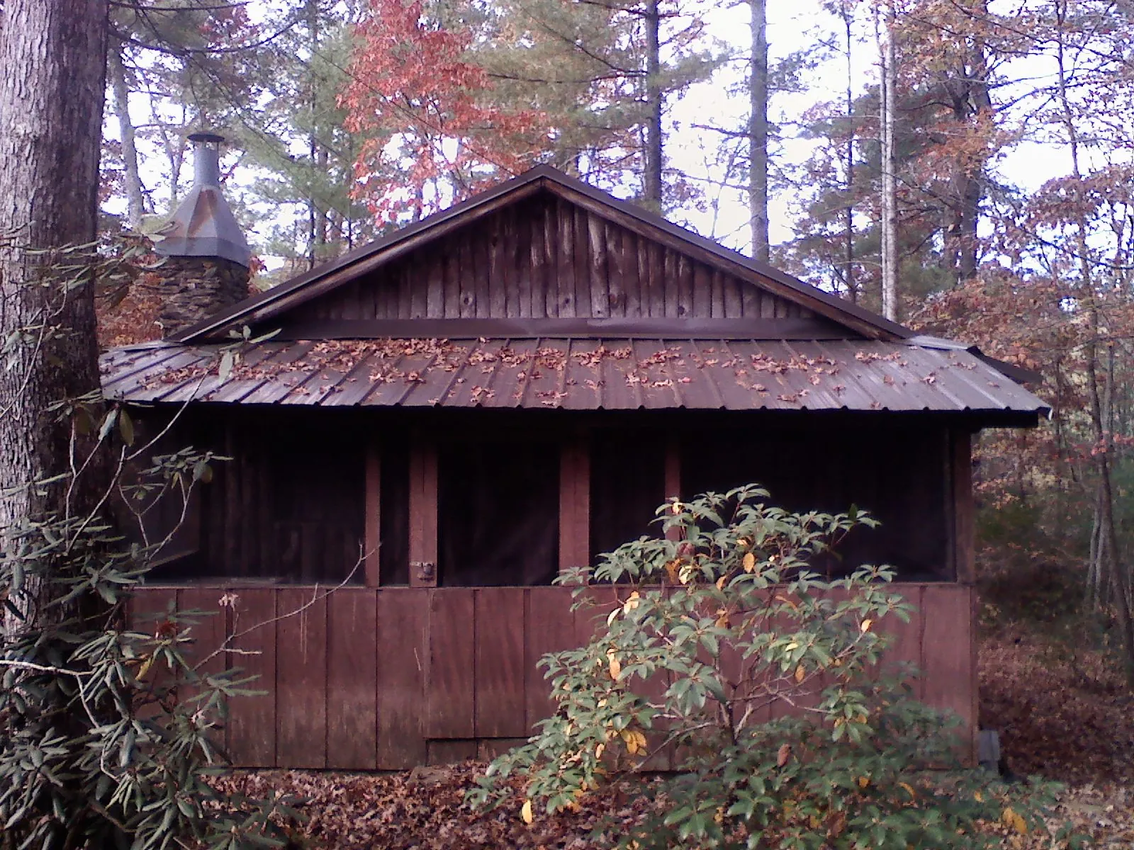 Metal roof over the screened porch of a rustic cabin in Eagle Springs