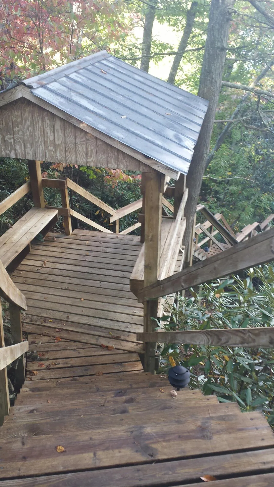 Metal roofed shelter over wooden steps on a wooded walkway — Skylight Repair & Installation work by our crew in Eagle Springs